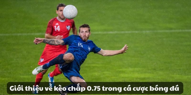 Kèo chấp 0.75 là gì? Cách đọc kèo và kinh nghiệm đặt cược 6 image 101