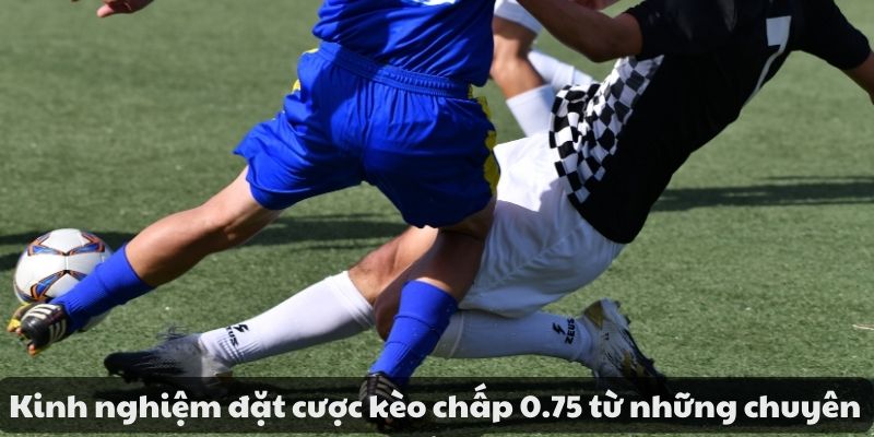 Kèo chấp 0.75 là gì? Cách đọc kèo và kinh nghiệm đặt cược 8 image 103