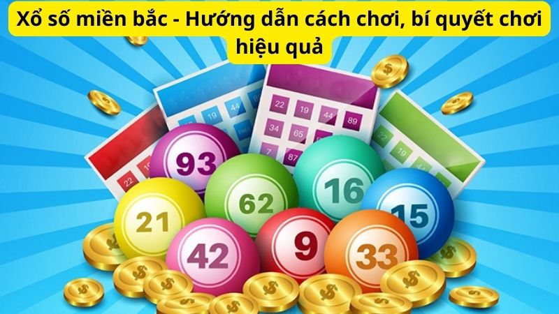 Xổ số miền bắc - Hướng dẫn cách chơi, bí quyết chơi hiệu quả 5 Xổ số miền bắc - Hướng dẫn cách chơi, bí quyết chơi hiệu quả