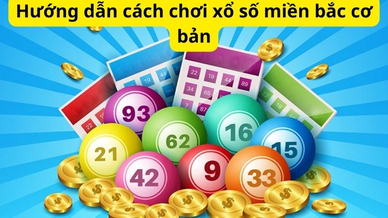 Xổ số miền bắc - Hướng dẫn cách chơi, bí quyết chơi hiệu quả 7 Hướng dẫn cách chơi xổ số miền bắc cơ bản