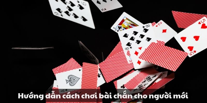 Hướng dẫn cách chơi bài chắn cho tân thủ cực hay mới nhất 7 Hướng dẫn cách chơi bài chắn cho người mới