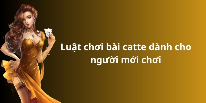 Cách chơi bài catte: Hướng dẫn từ A đến Z cho người mới 7 Luật chơi bài catte dành cho người mới chơi
