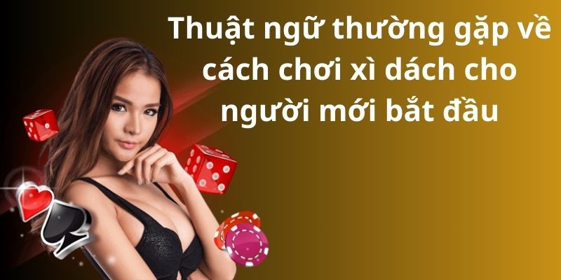 Bật mí cách chơi xì dách cho người mới bắt đầu 2024 8 image 204