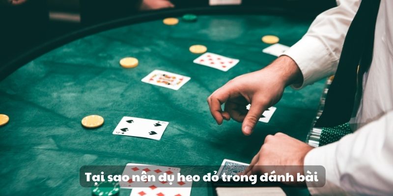 99 Cách dụ heo đỏ để chặt - Bí quyết hiệu quả và an toàn 5 Tại sao nên dụ heo đỏ trong đánh bài