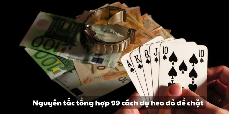 99 Cách dụ heo đỏ để chặt - Bí quyết hiệu quả và an toàn 6 Nguyên tắc tổng hợp 99 cách dụ heo đỏ để chặt