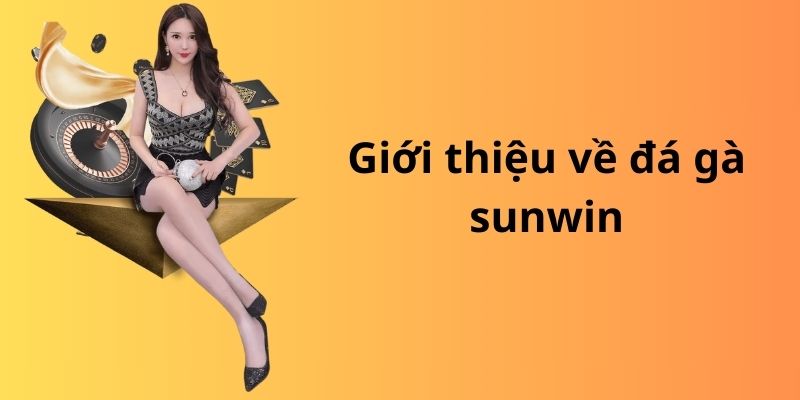Đá gà sunwin: Nơi hội tụ những chiến kê hàng đầu 6 image 312