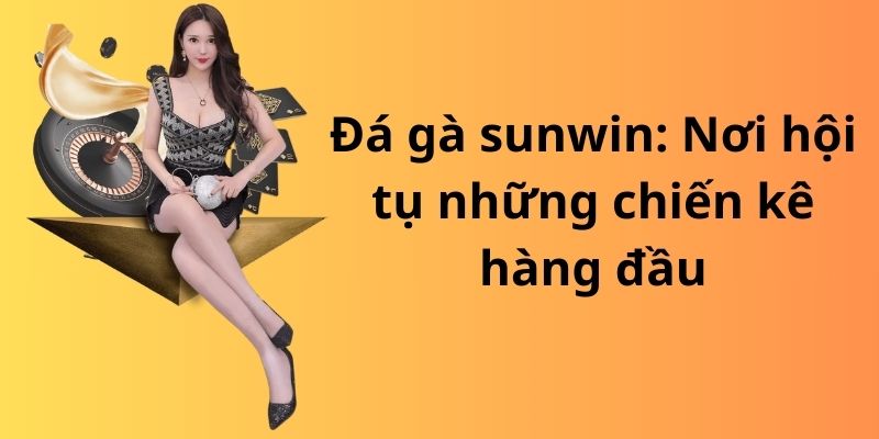 Đá gà sunwin: Nơi hội tụ những chiến kê hàng đầu 5 image 313