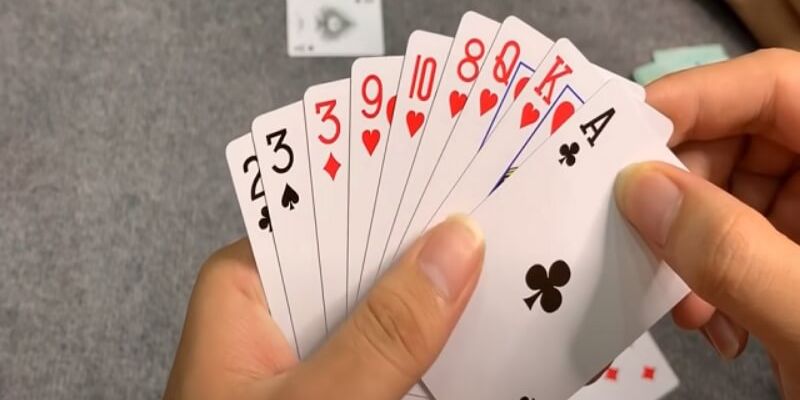 Chinh phục trò chơi tá lả- Cách đánh bài tá lả từ A đến Z 5 image 343