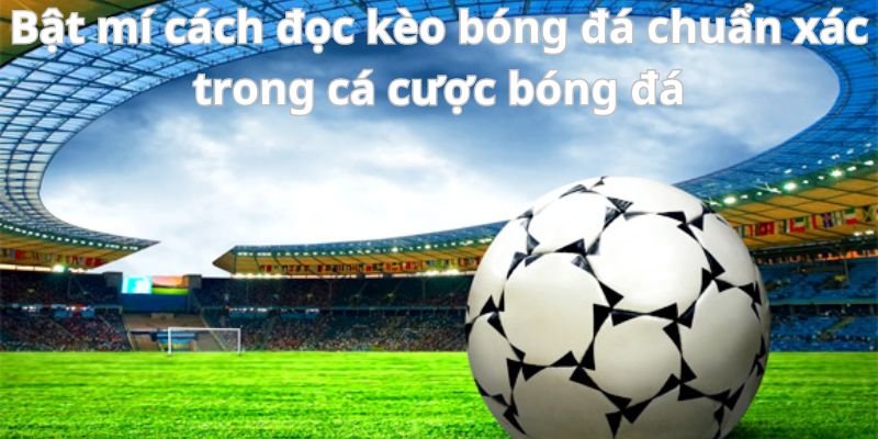 Bật mí cách đọc kèo bóng đá chuẩn xác trong cá cược bóng đá 5 Bật mí cách đọc kèo bóng đá chuẩn xác trong cá cược bóng đá