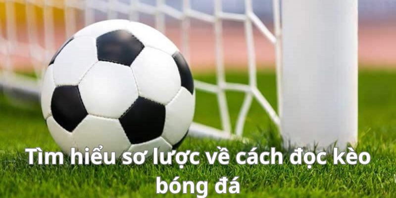 Bật mí cách đọc kèo bóng đá chuẩn xác trong cá cược bóng đá 6 Tìm hiểu sơ lược về cách đọc kèo bóng đá