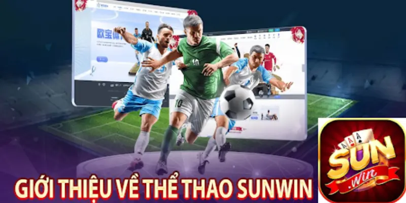Thể Thao SUNWIN - Sân Chơi Các Cược Uy Tín Đỉnh Cao 26 Để thành công trong sunwin betting, bạn cần có chiến thuật tốt